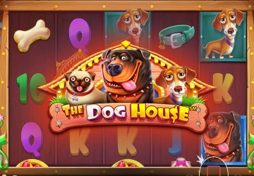 Игра The Dog House в Шафл казино